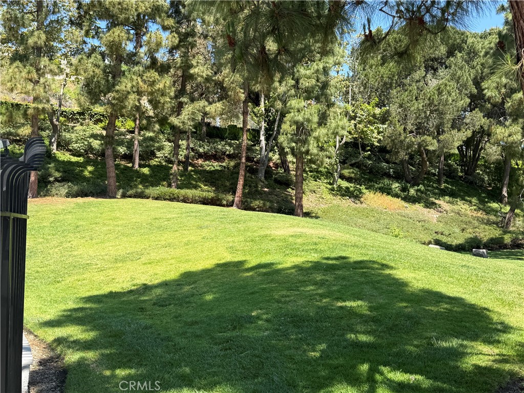 33102 Buccaneer Court