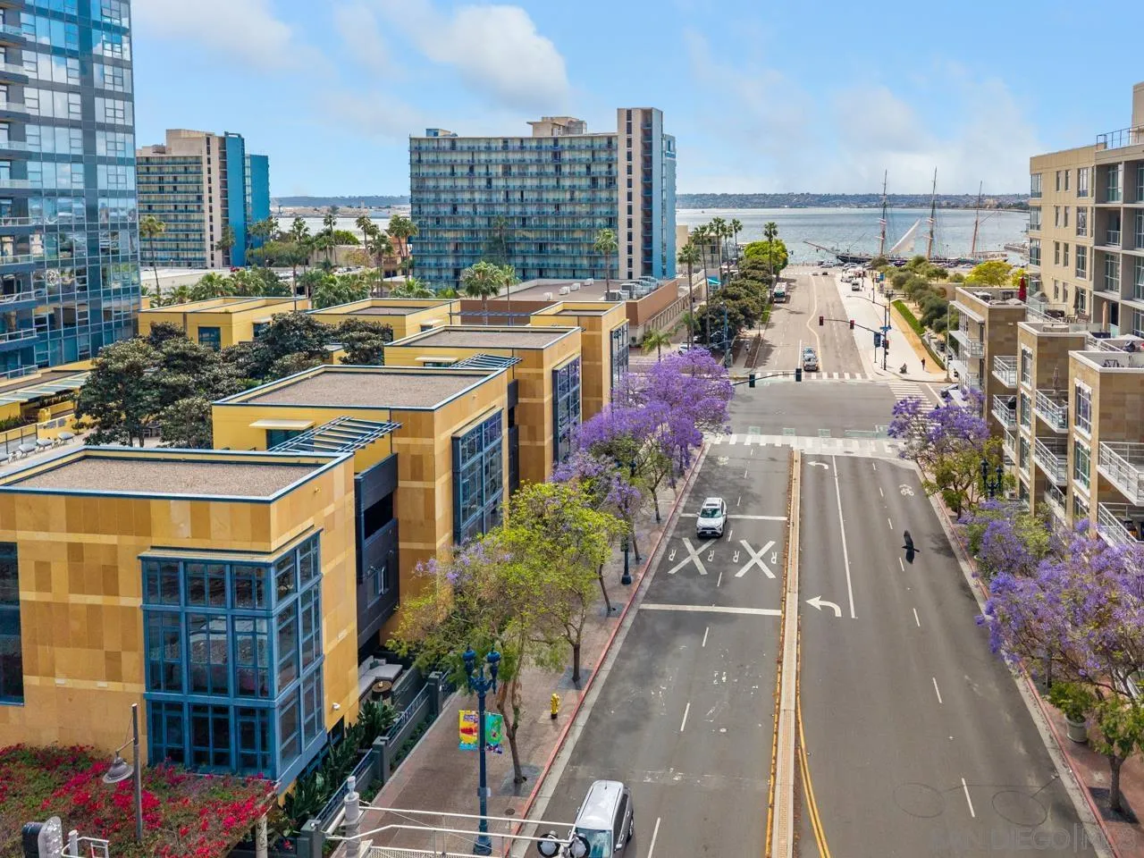 1325 Pacific Hwy Unit 110