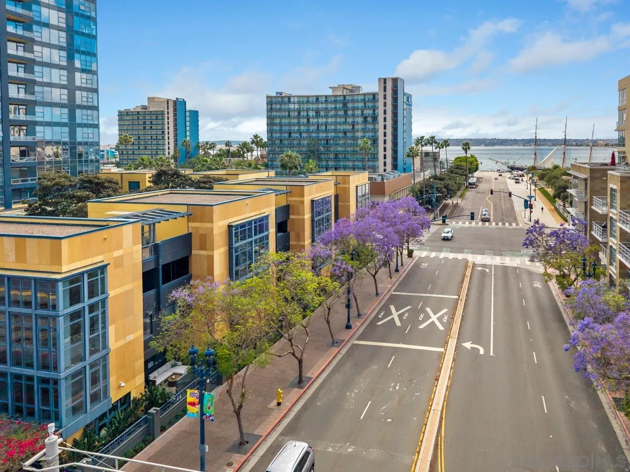 1325 Pacific Hwy Unit 110