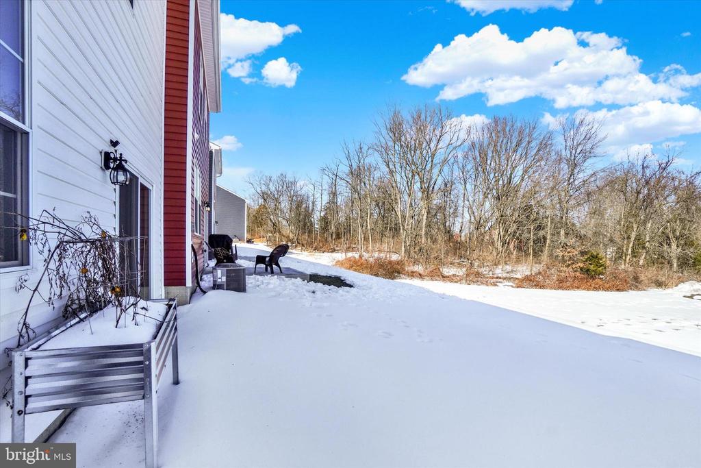 325 LOCUST RUN DRIVE