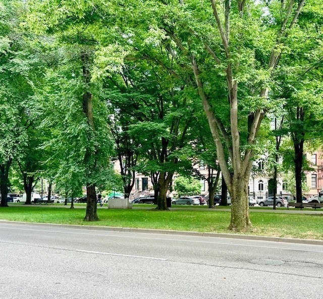 133 Commonwealth Ave # 1