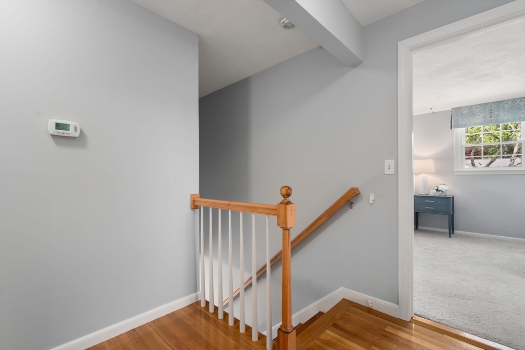 11 Foxhill Rd