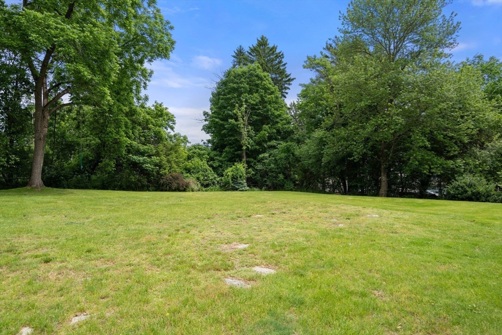 11 Foxhill Rd