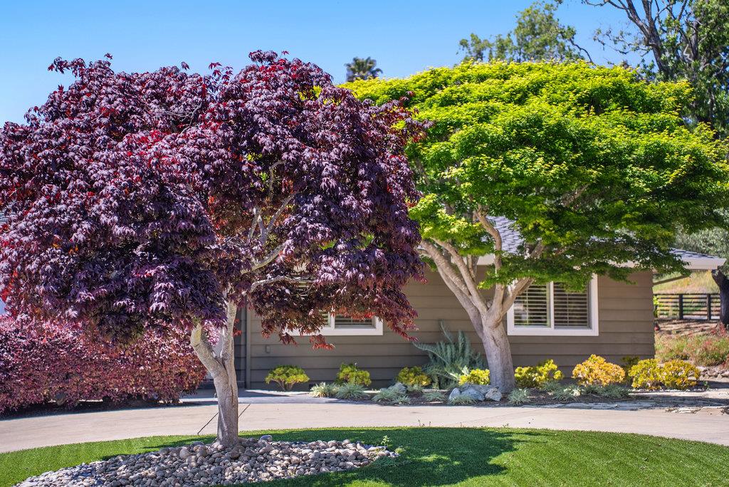 290 Saint Andrews DR