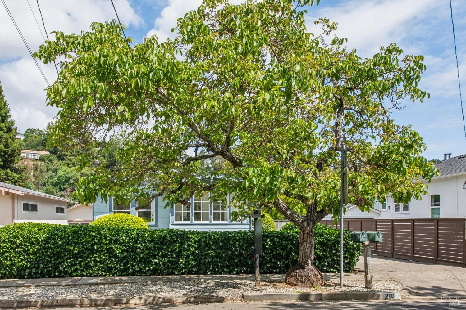 210 Greenfield Avenue