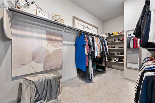 10423 Finn Drive