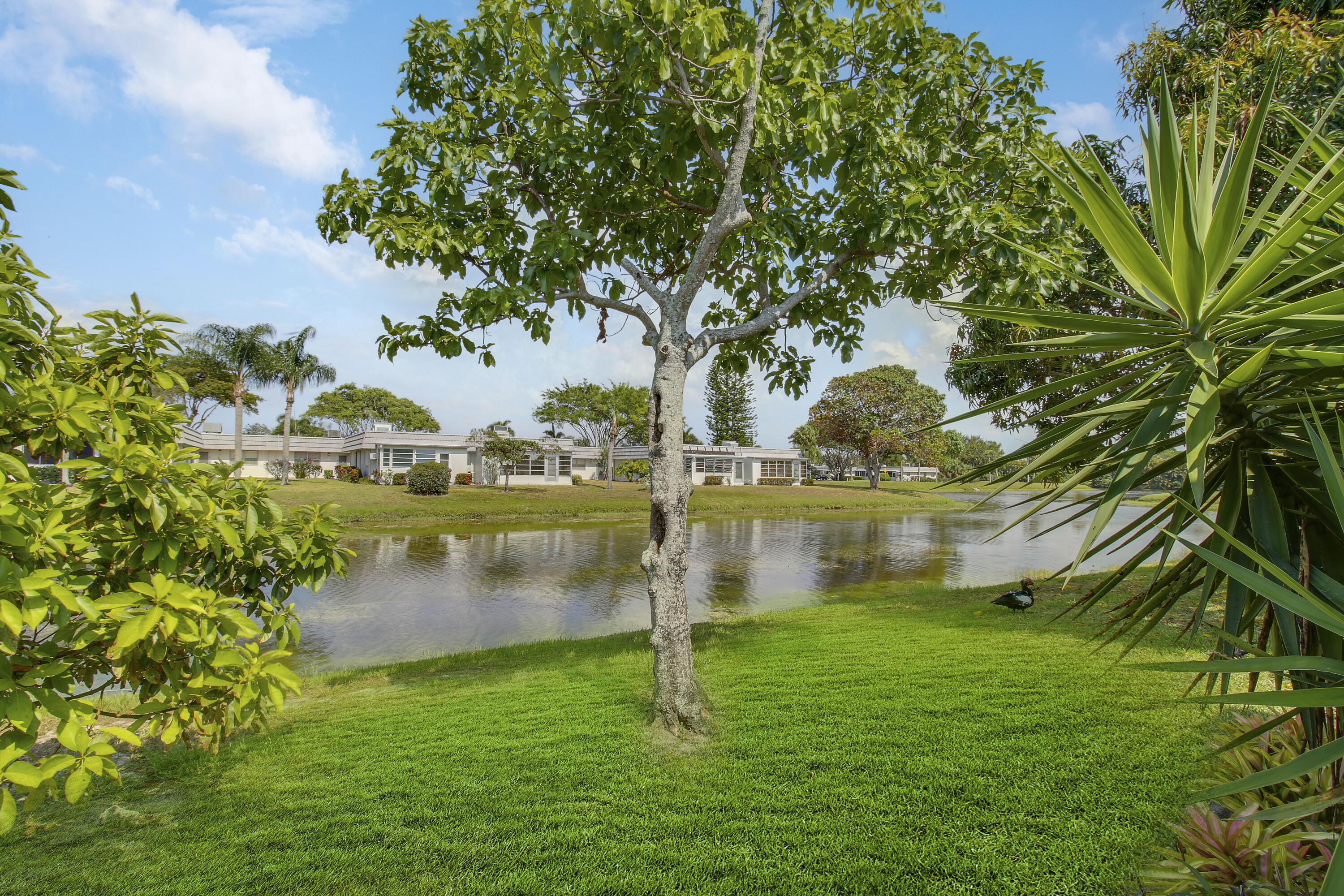 175 Valencia H