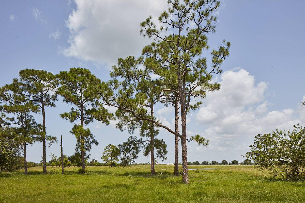 25700 SW Brians Trail, Okeechobee