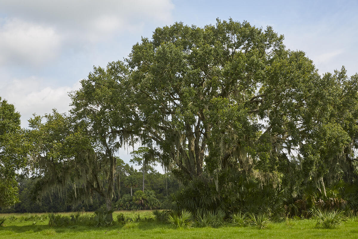 25700 SW Brians Trail, Okeechobee