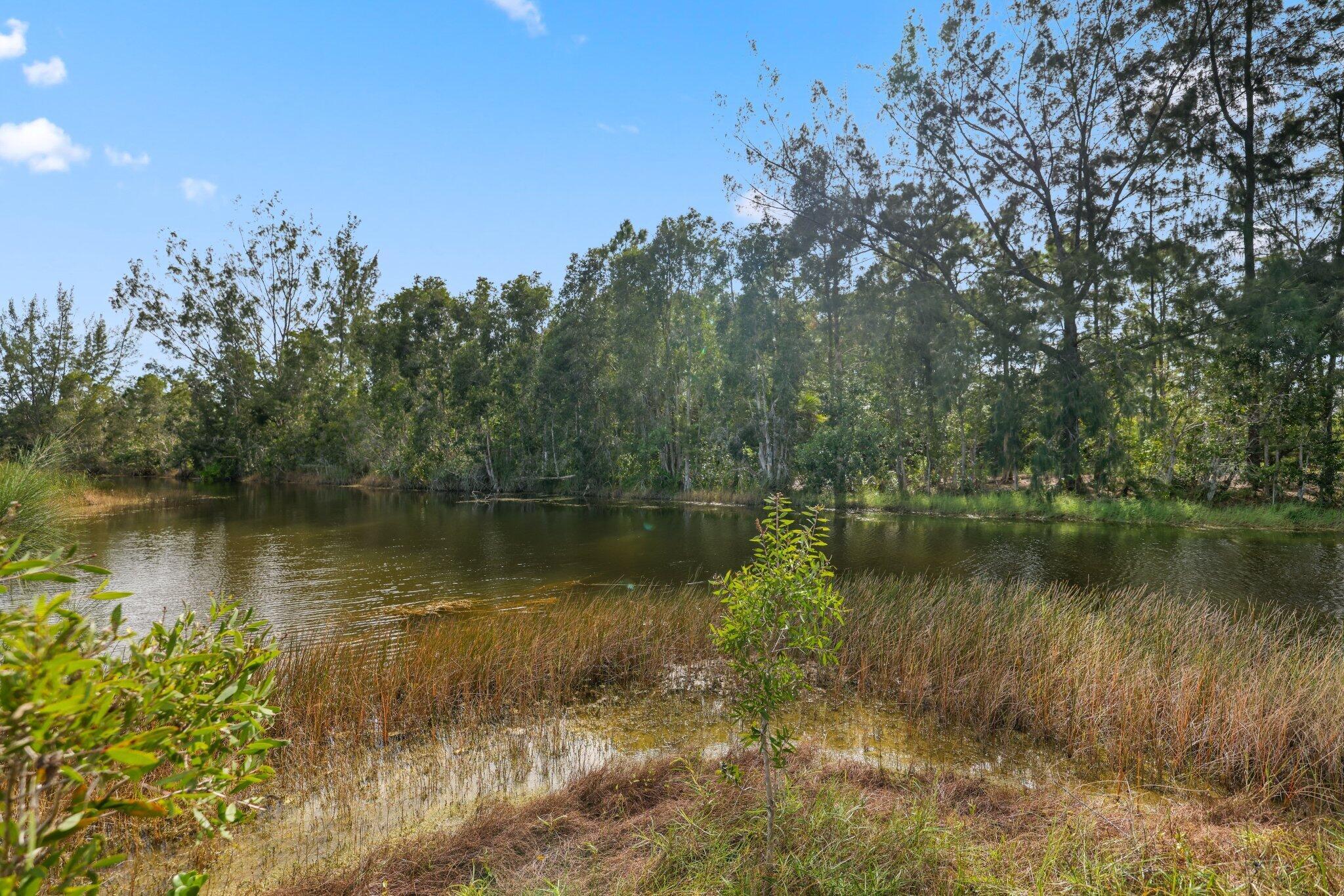 6801 Duckweed Road
