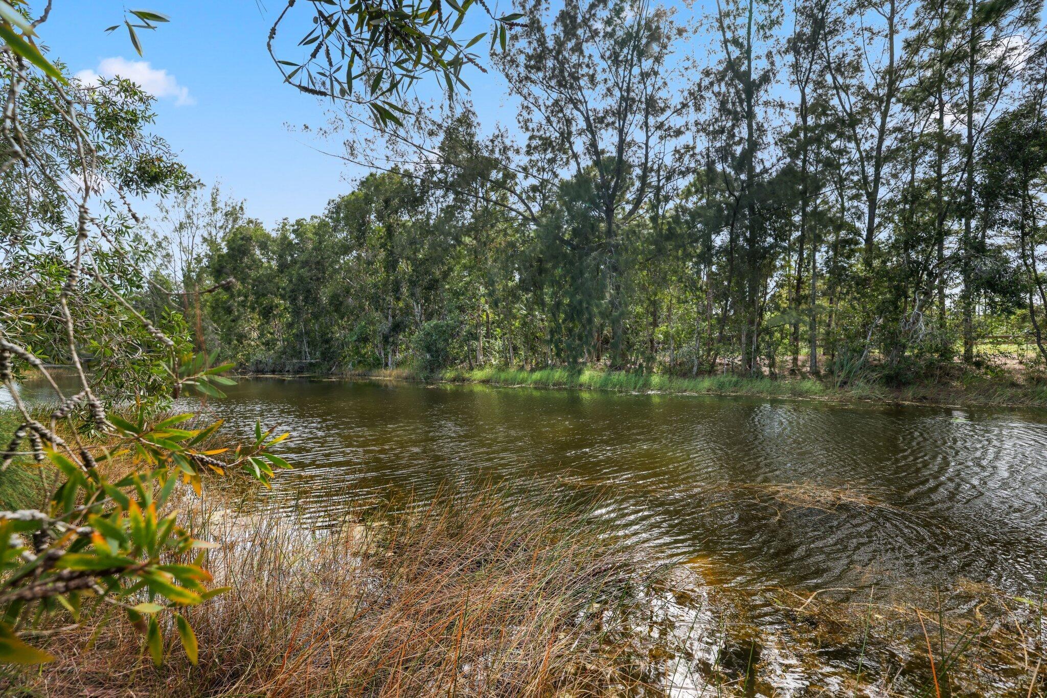 6801 Duckweed Road