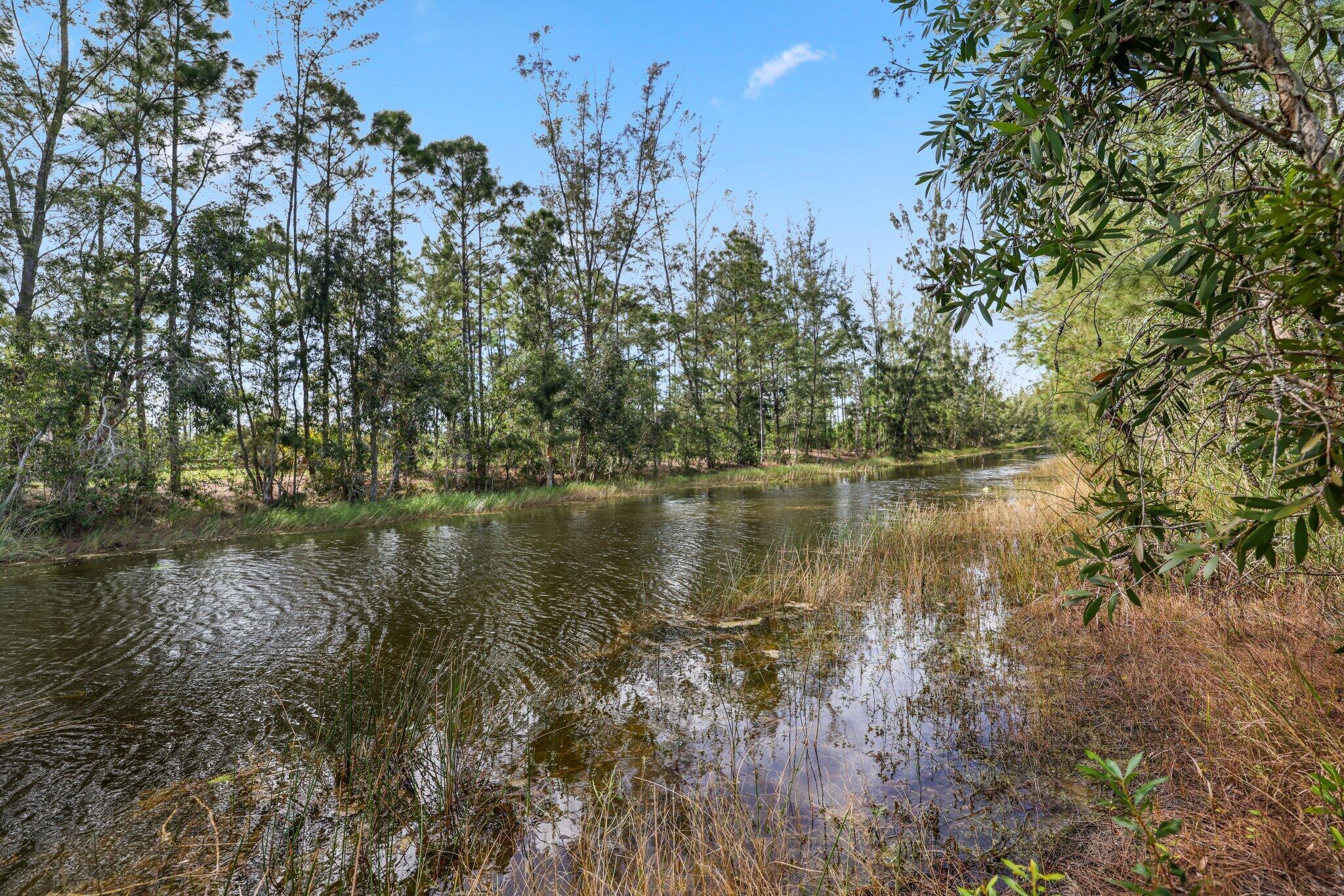 6801 Duckweed Road