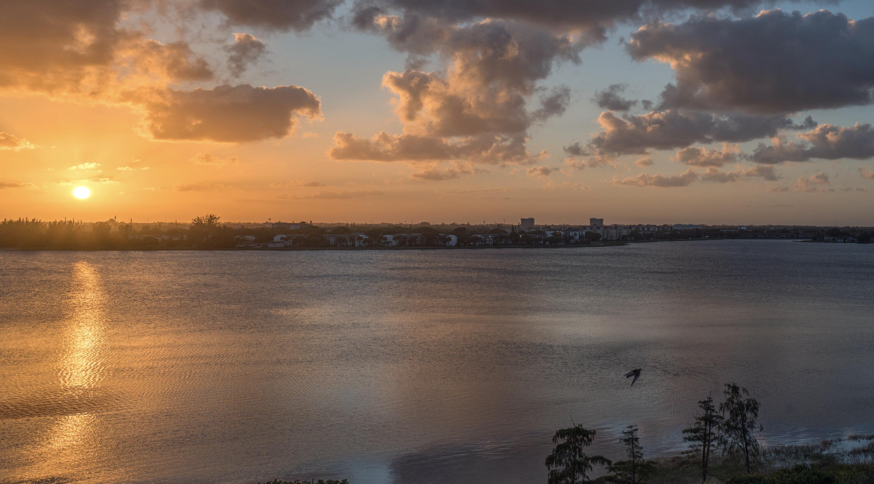 300 S Australian Avenue 708, West Palm Beach Unit: 708