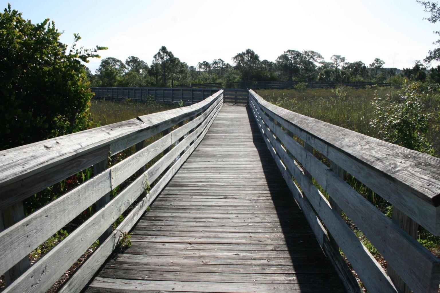 150 W Thatch Palm Circle