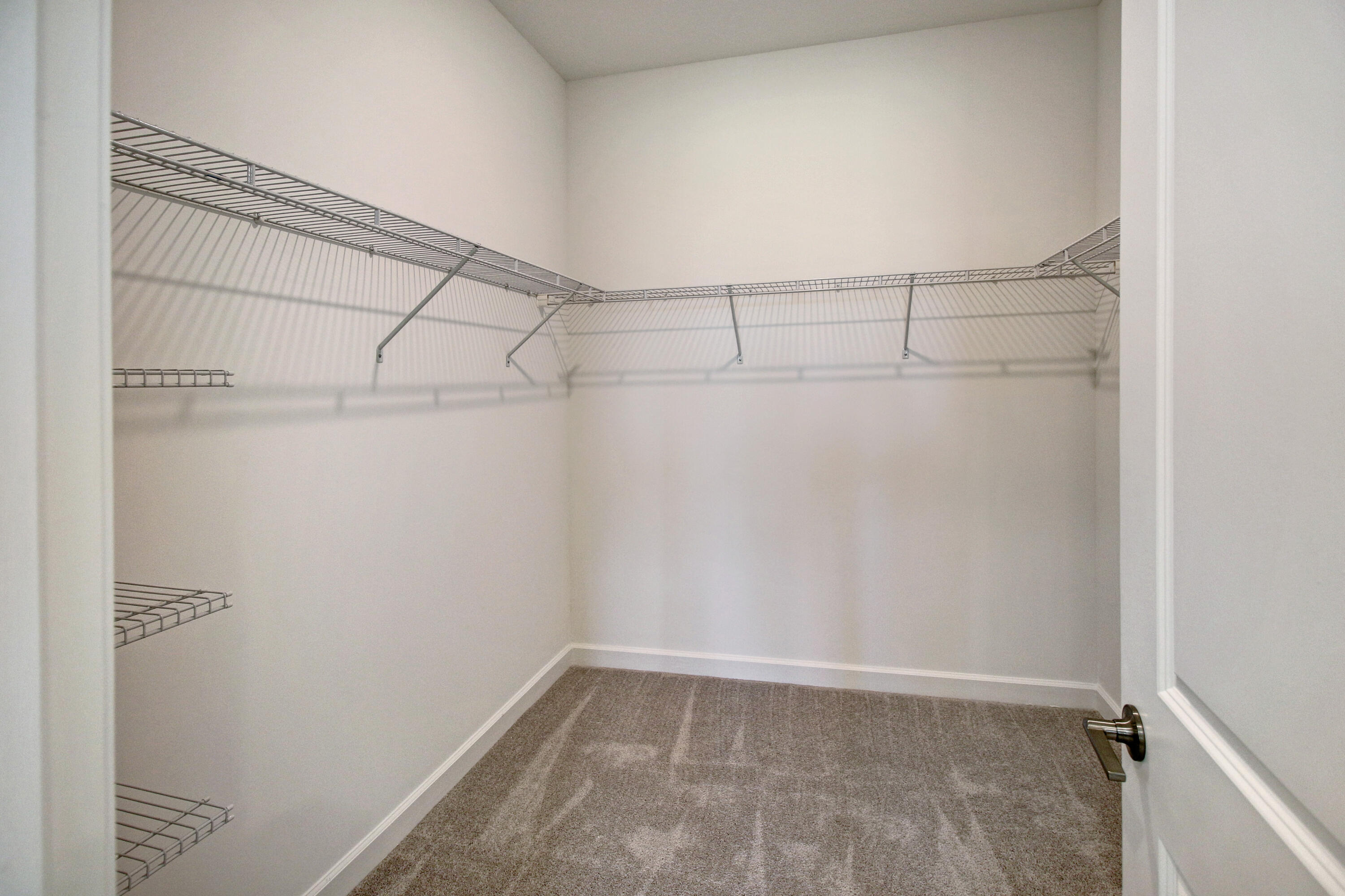 19691 Rugged Trunk Trail