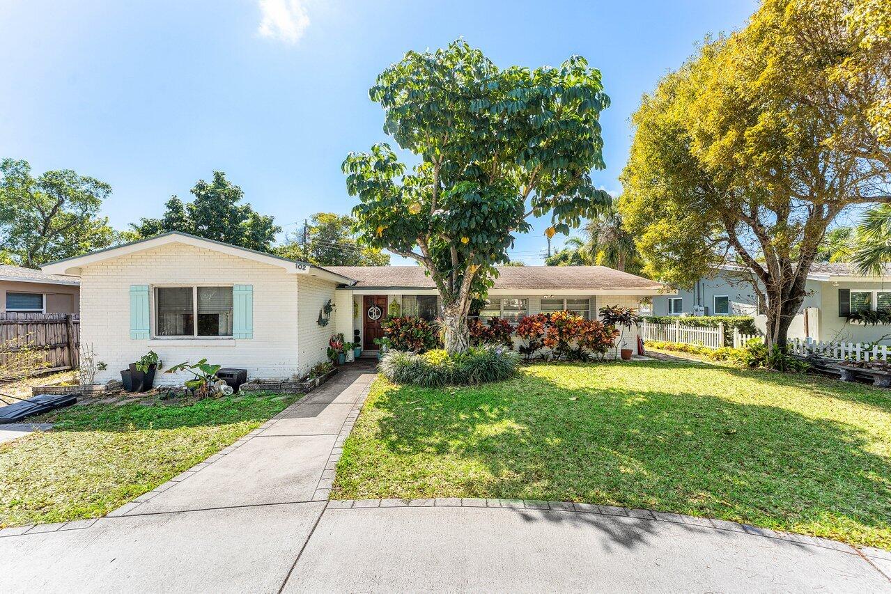 Single-story white brick home with a large front-yard tree and landscaped garden.