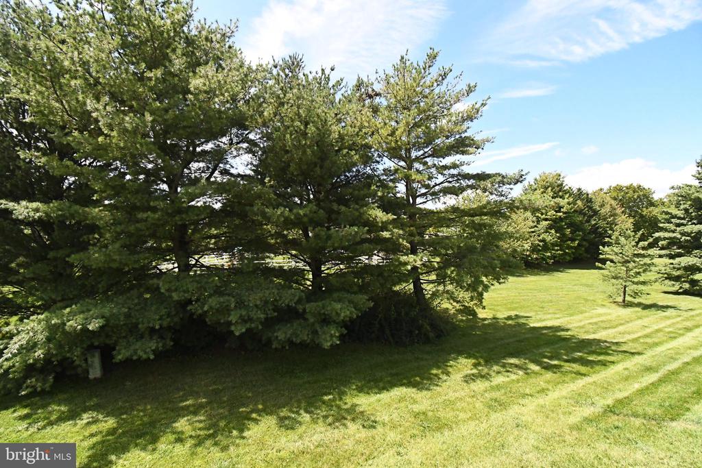 237 ALLEM LANE