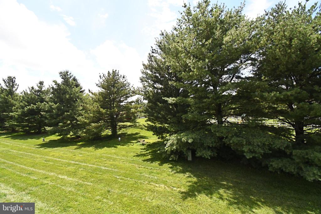 237 ALLEM LANE