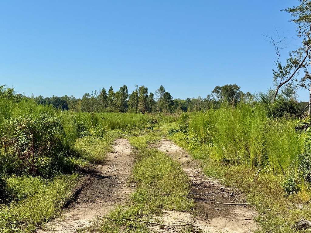 130 Acres Tindil Creek/Grant Road
