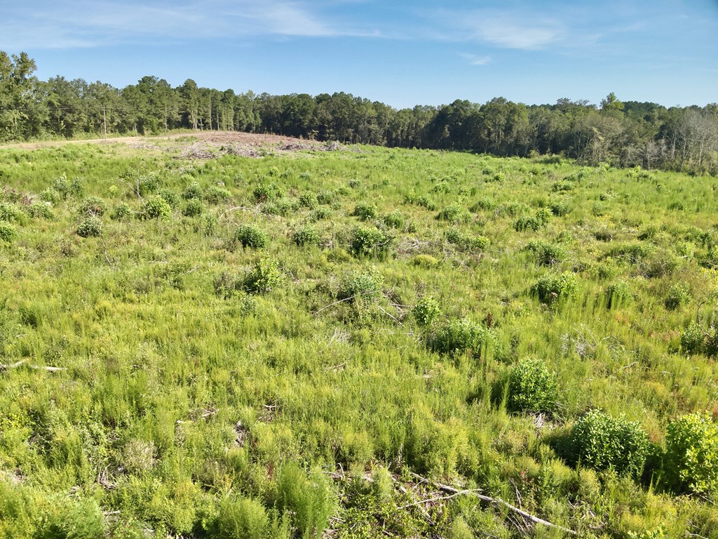 130 Acres Tindil Creek/Grant Road