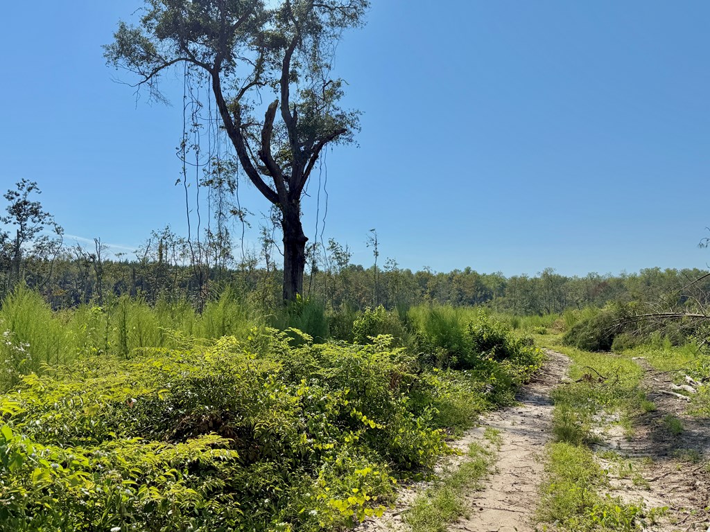 130 Acres Tindil Creek/Grant Road
