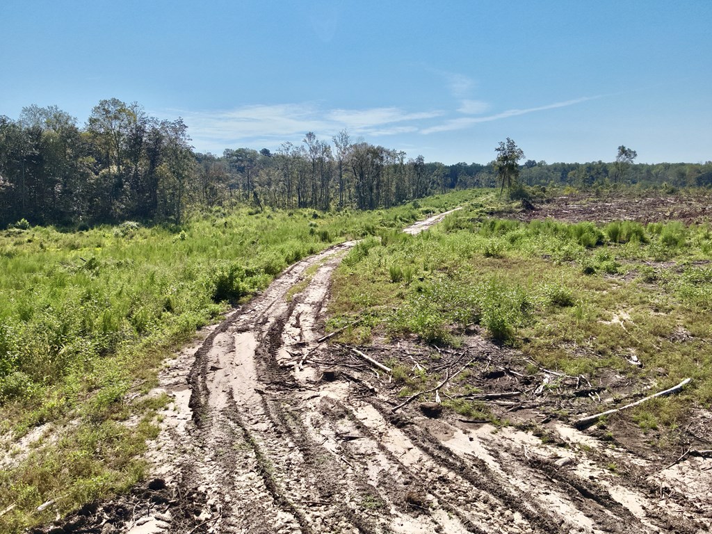 130 Acres Tindil Creek/Grant Road
