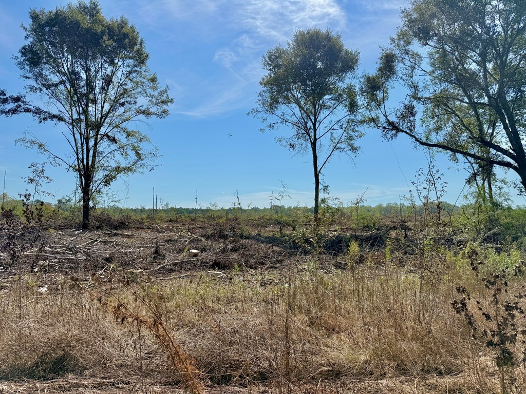 130 Acres Tindil Creek/Grant Road