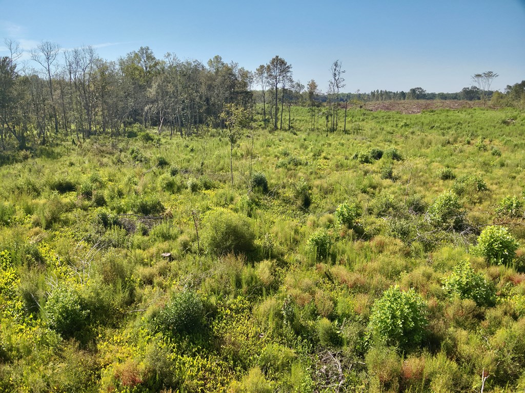 130 Acres Tindil Creek/Grant Road