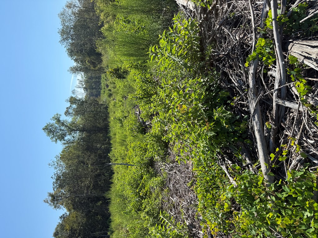 130 Acres Tindil Creek/Grant Road