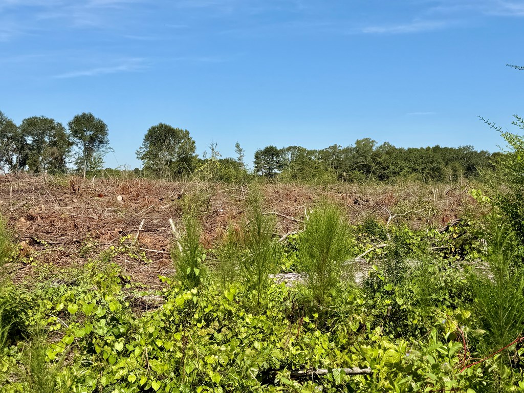 130 Acres Tindil Creek/Grant Road