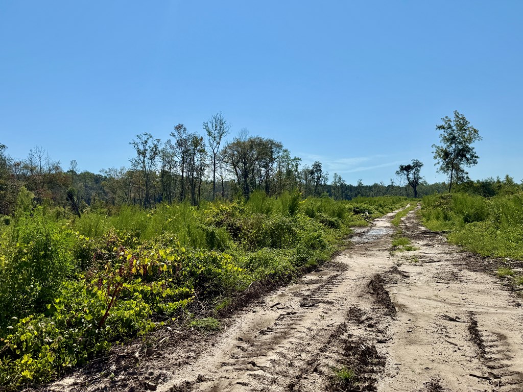 130 Acres Tindil Creek/Grant Road