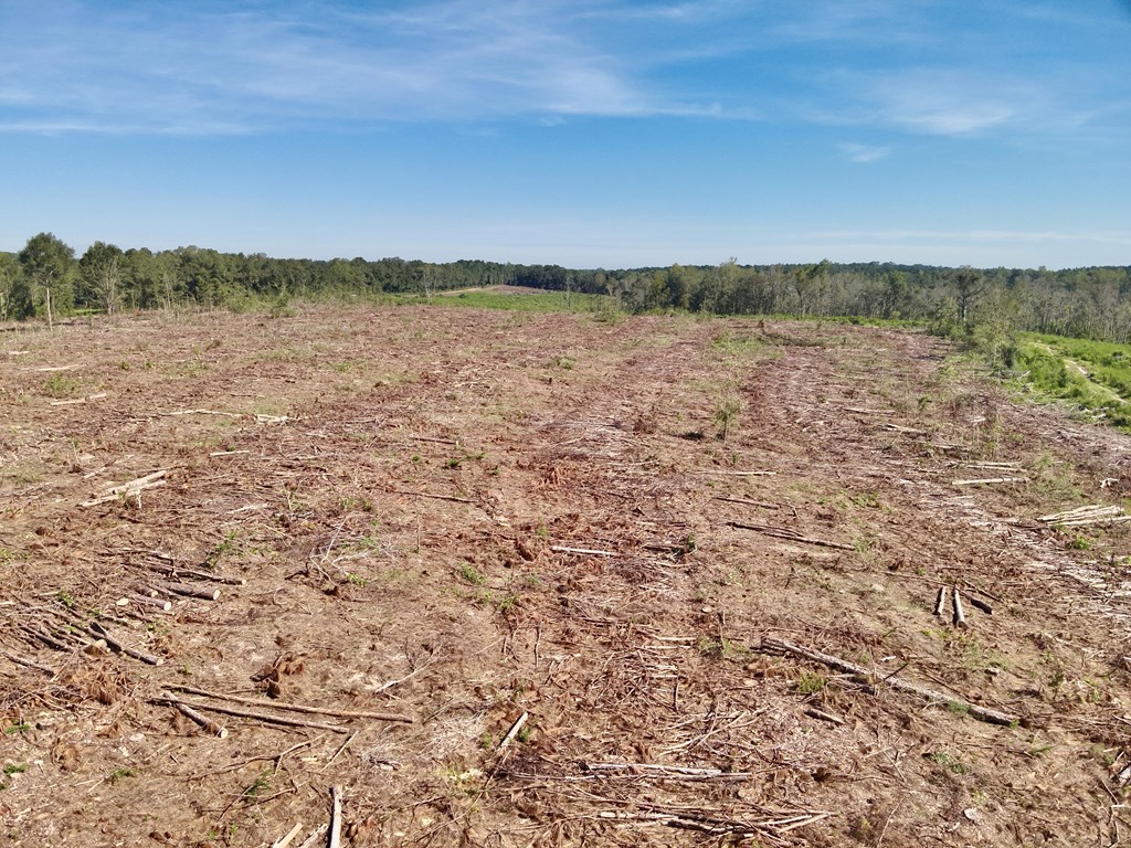 130 Acres Tindil Creek/Grant Road