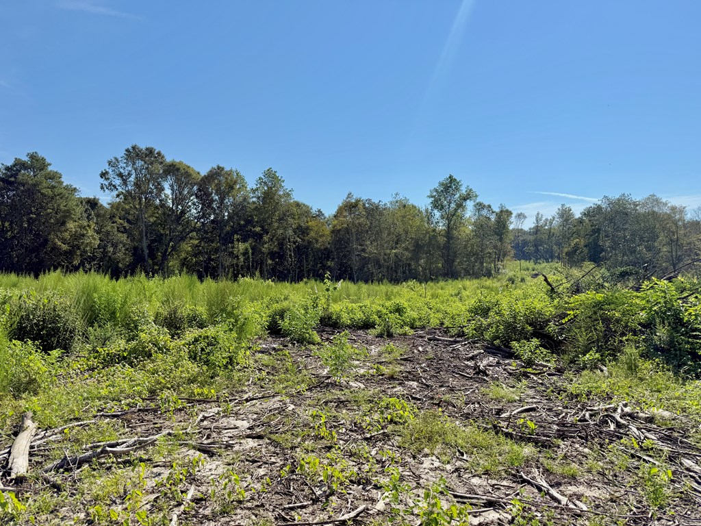 130 Acres Tindil Creek/Grant Road