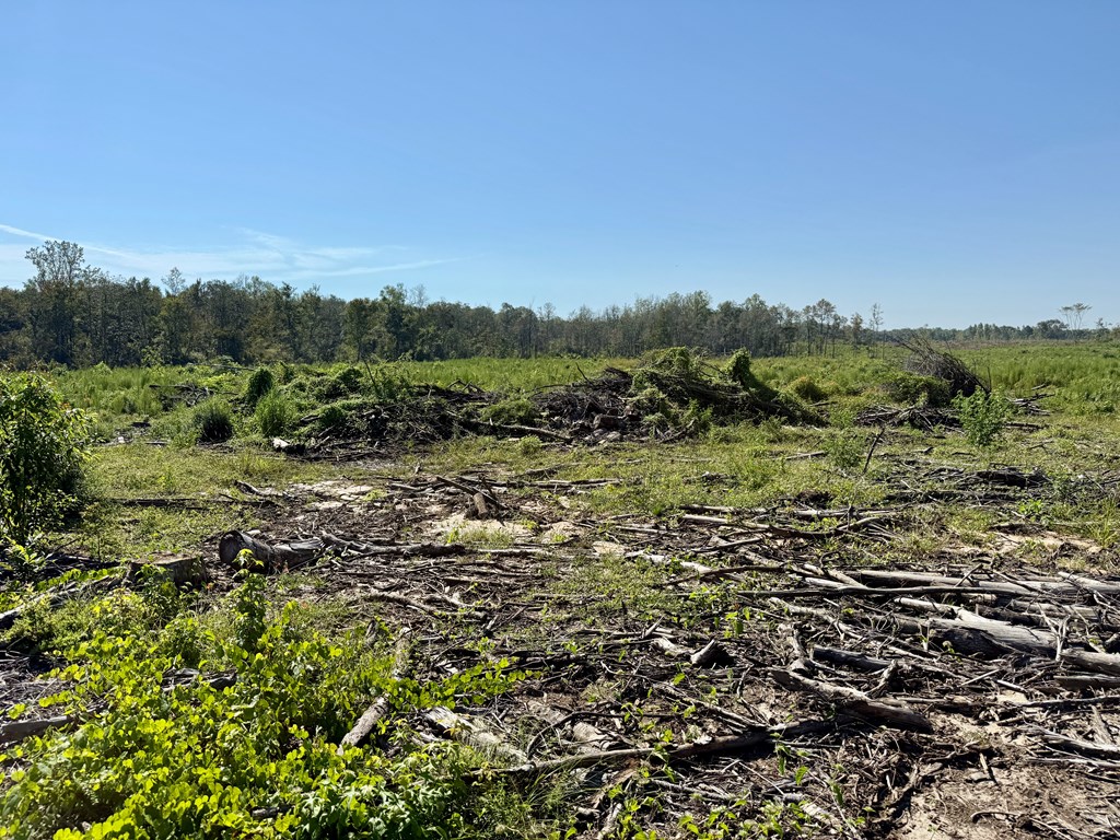 130 Acres Tindil Creek/Grant Road