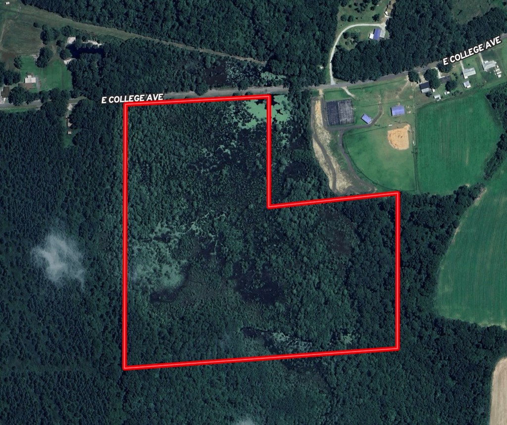 29 Acres E College Avenue