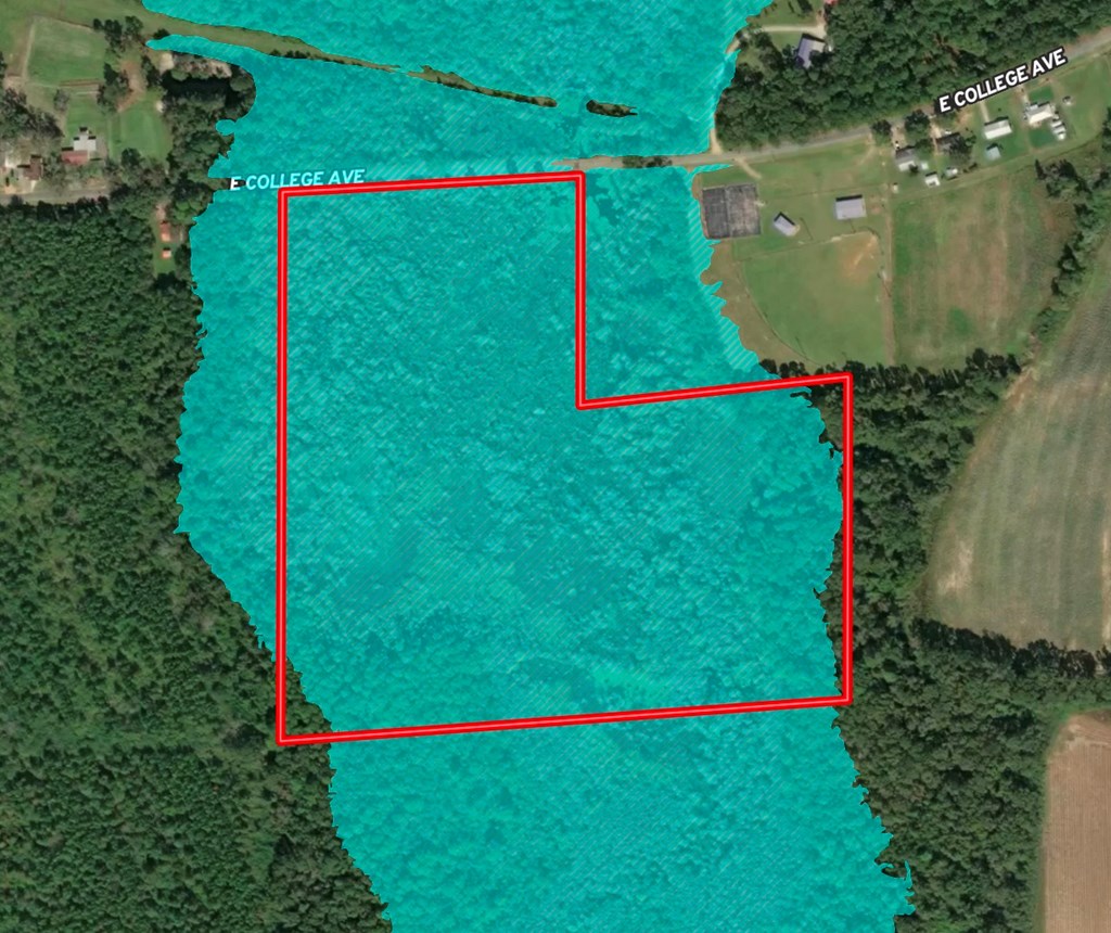 29 Acres E College Avenue
