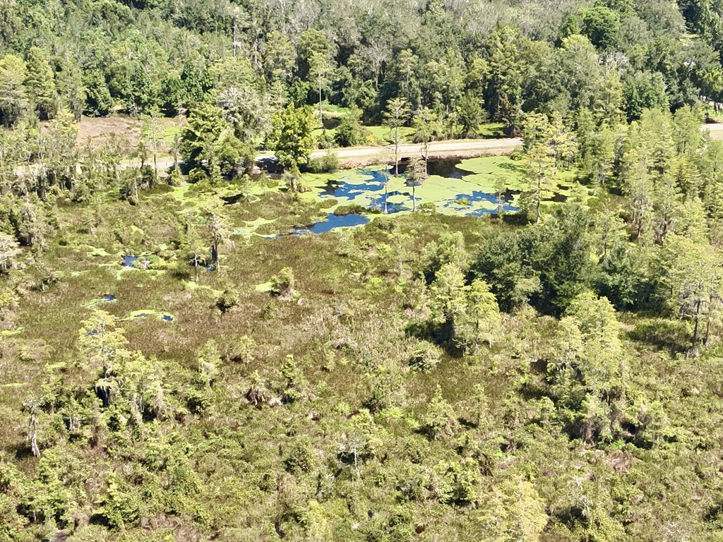 29 Acres E College Avenue