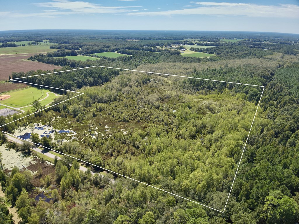 29 Acres E College Avenue