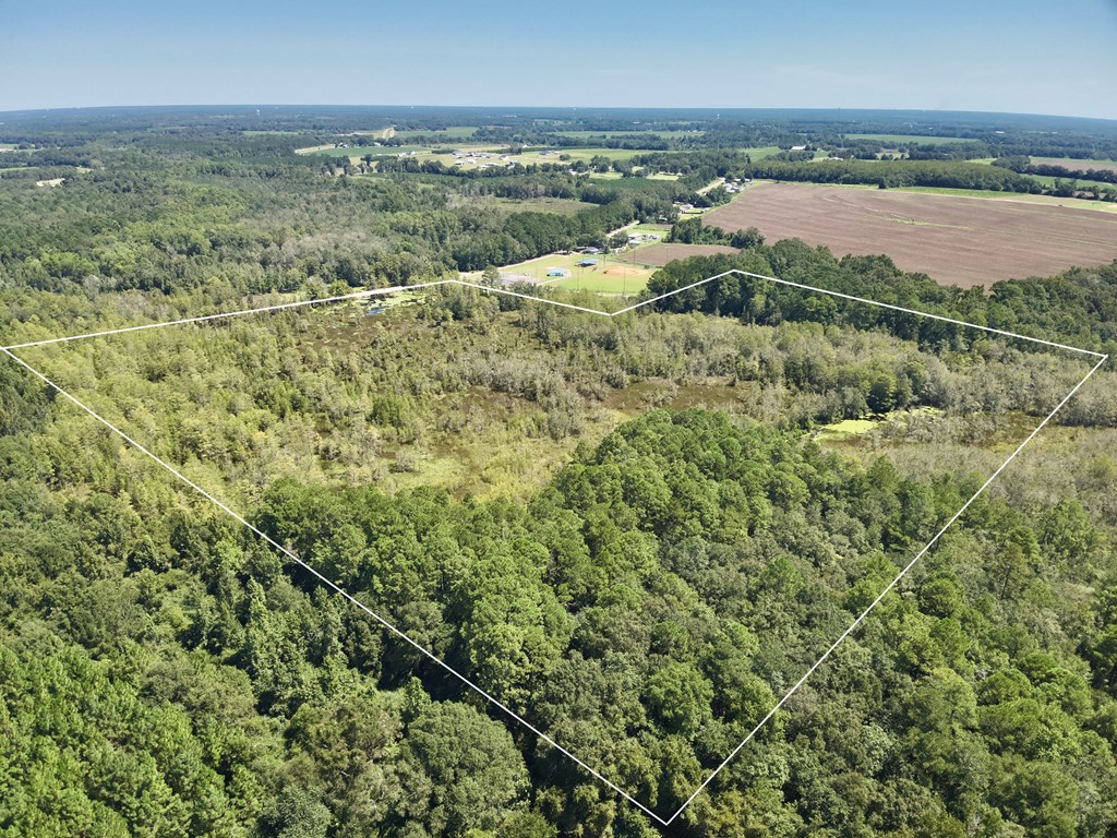 29 Acres E College Avenue