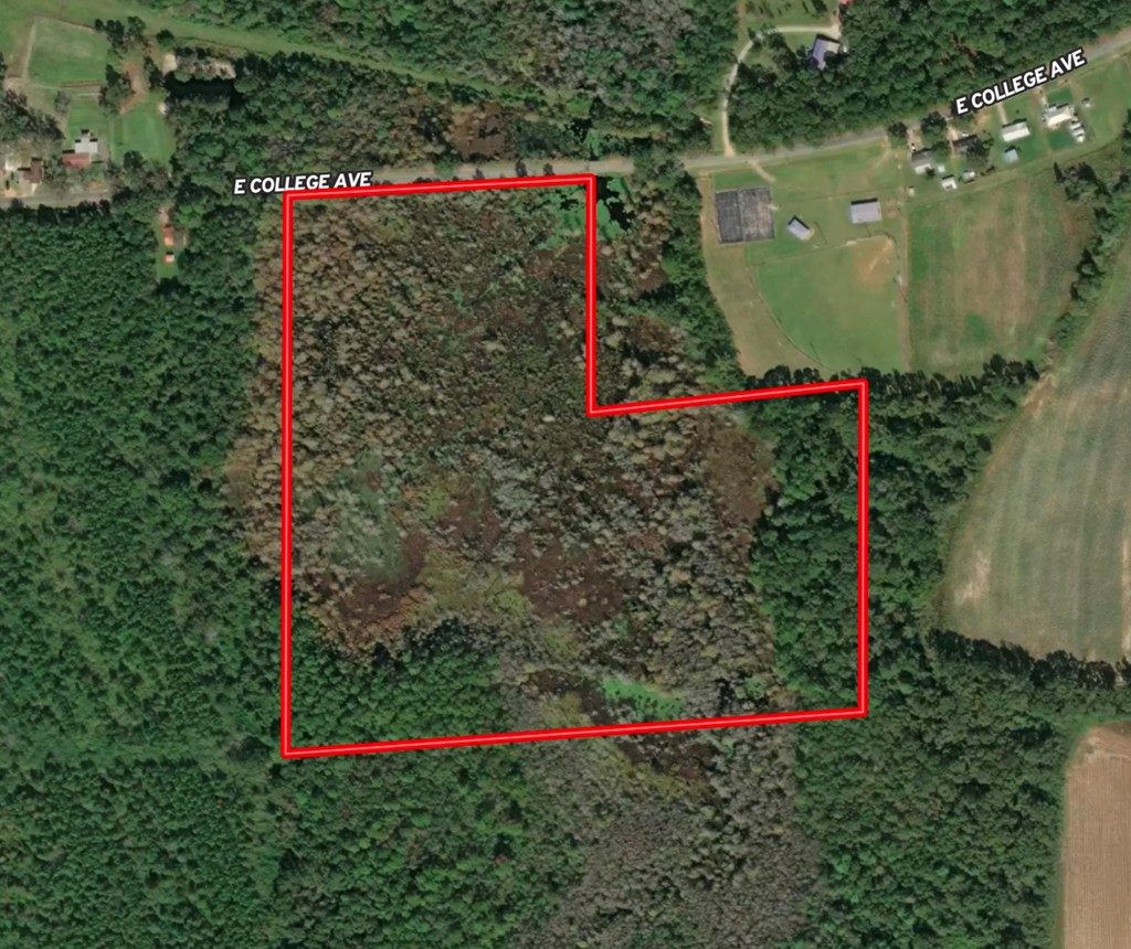 29 Acres E College Avenue