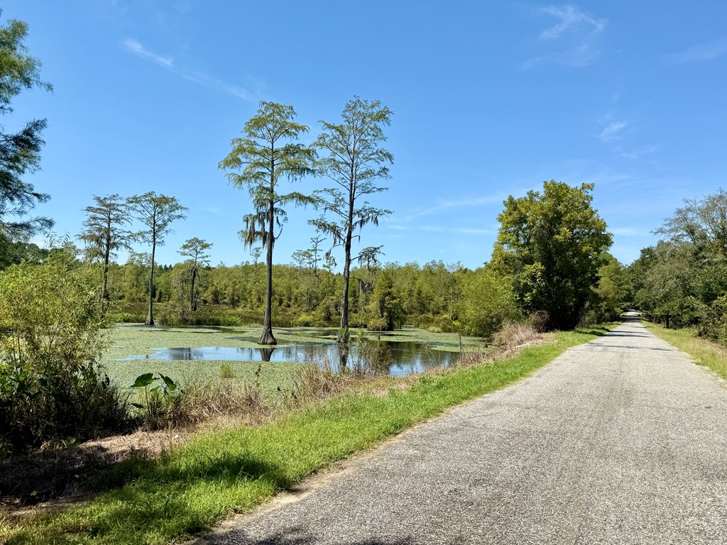 29 Acres E College Avenue