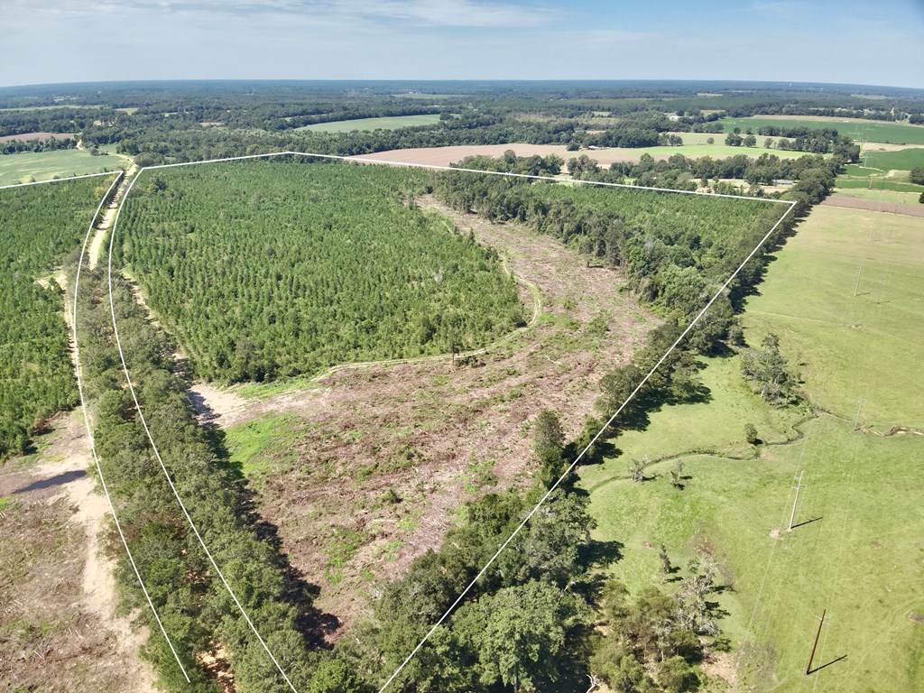 189 Acres Highland Street