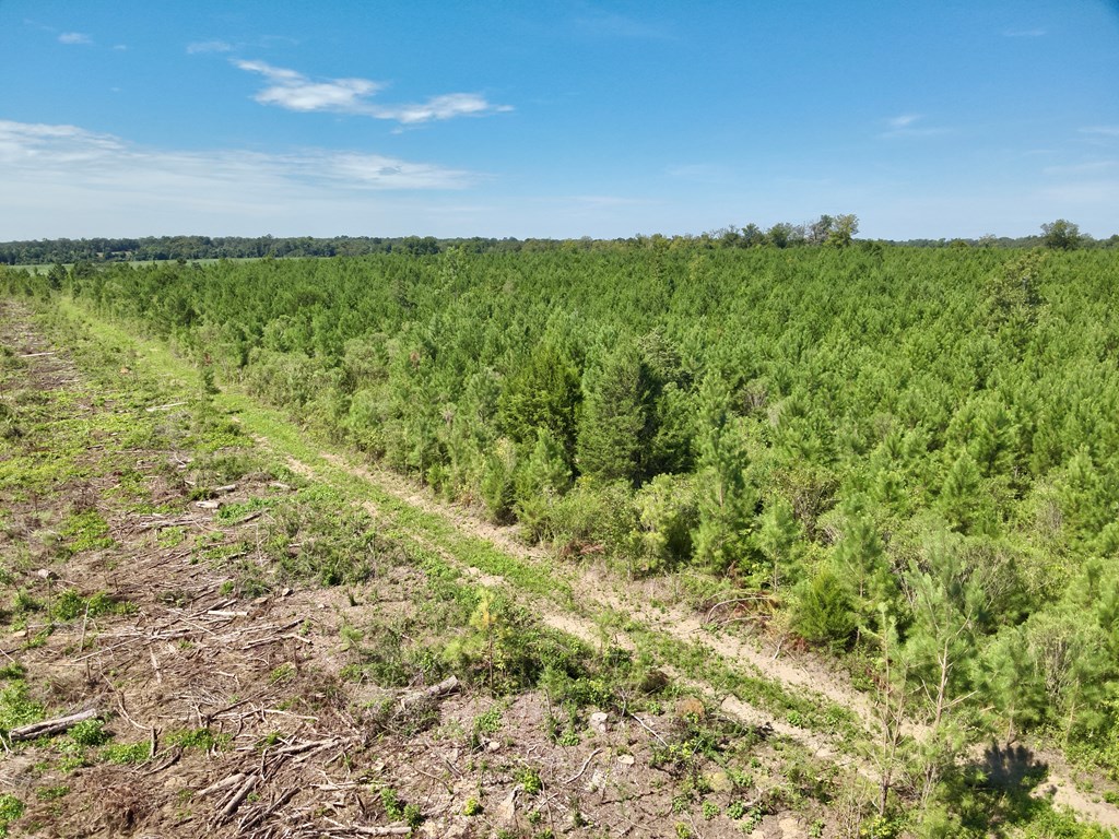 189 Acres Highland Street