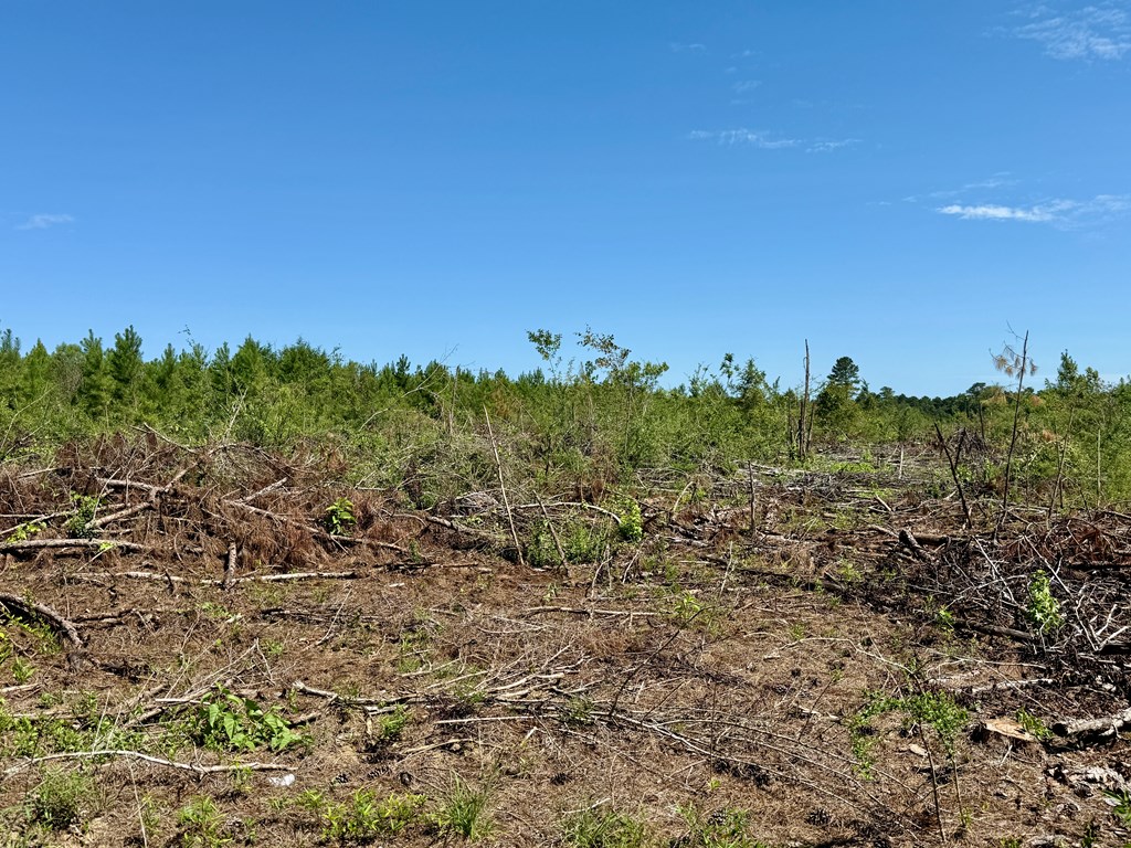 189 Acres Highland Street