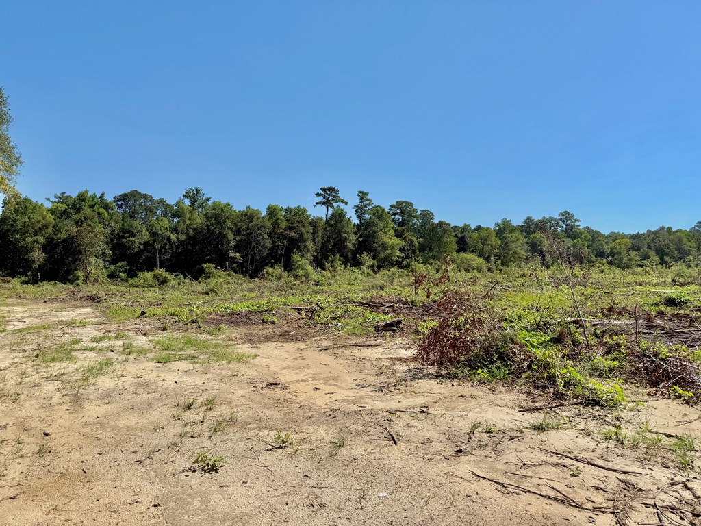 189 Acres Highland Street