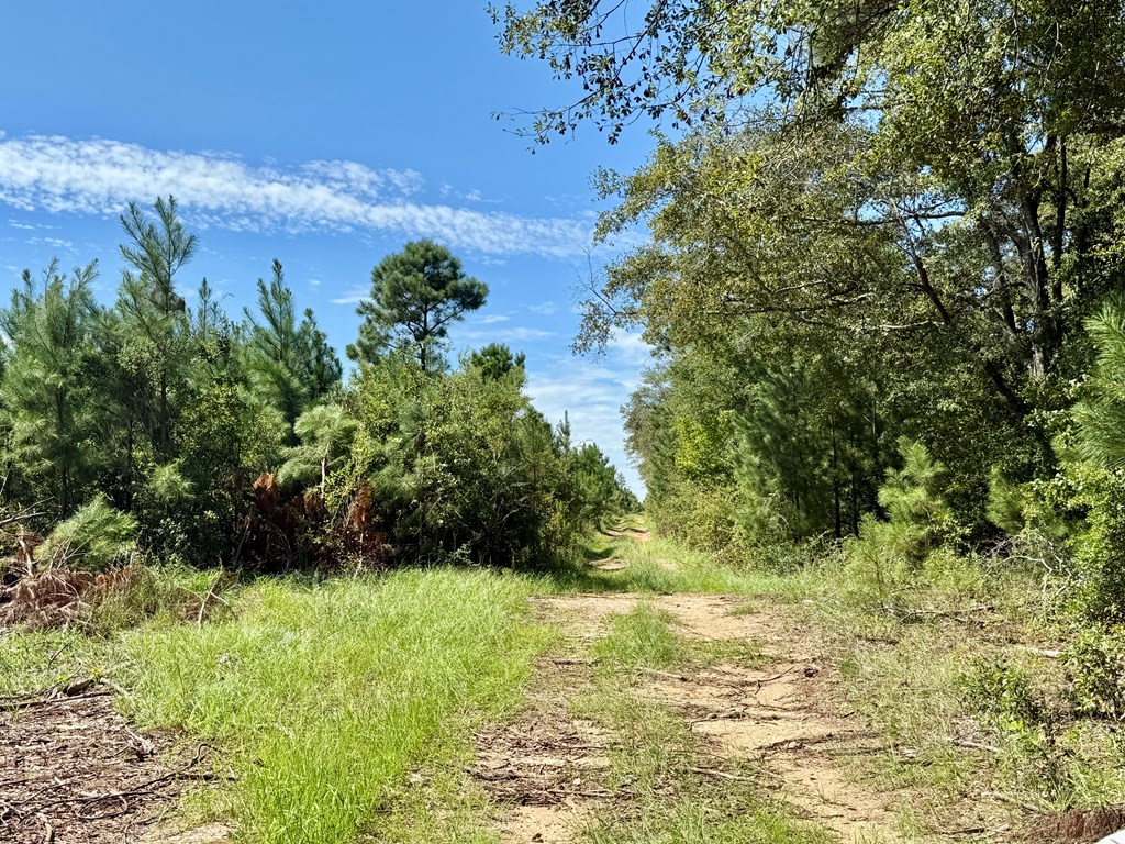 189 Acres Highland Street