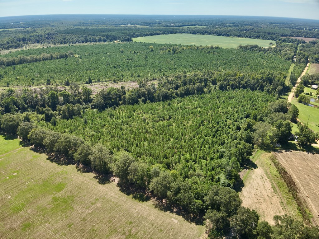 189 Acres Highland Street