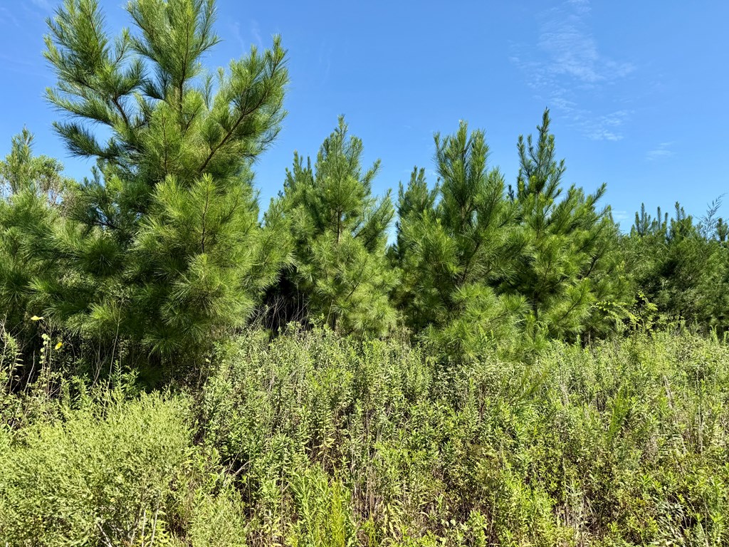 189 Acres Highland Street