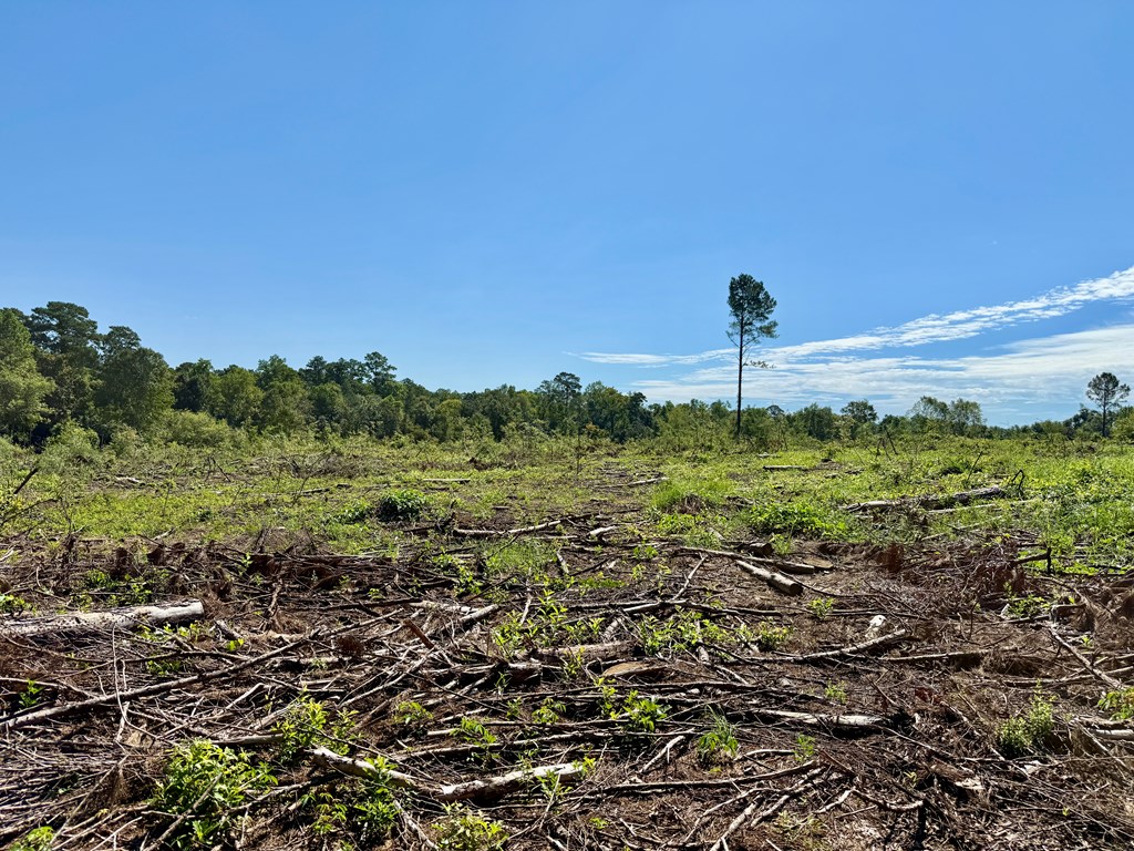 189 Acres Highland Street