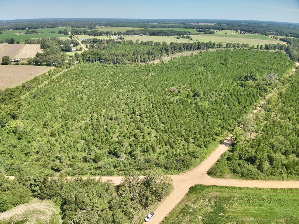 189 Acres Highland Street